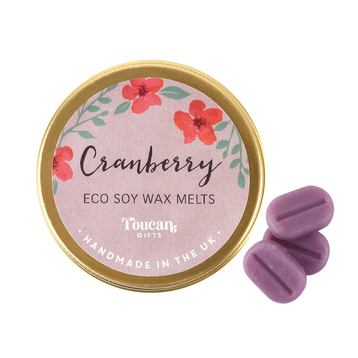 Winter Robin Wax Melt Burner Gift Set