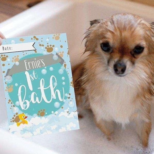 Personalised Puppy Cards: For Milestone Moments - Myhappymoments.co.uk
