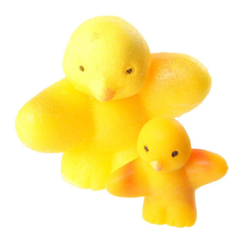 Hatching Chicken Egg Toy