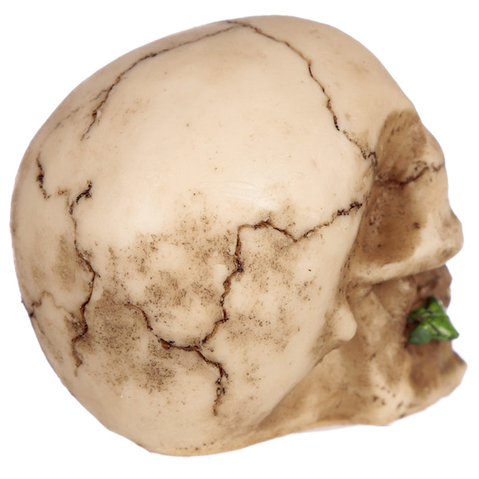 Small Skull with Rose in Teeth - Myhappymoments.co.uk