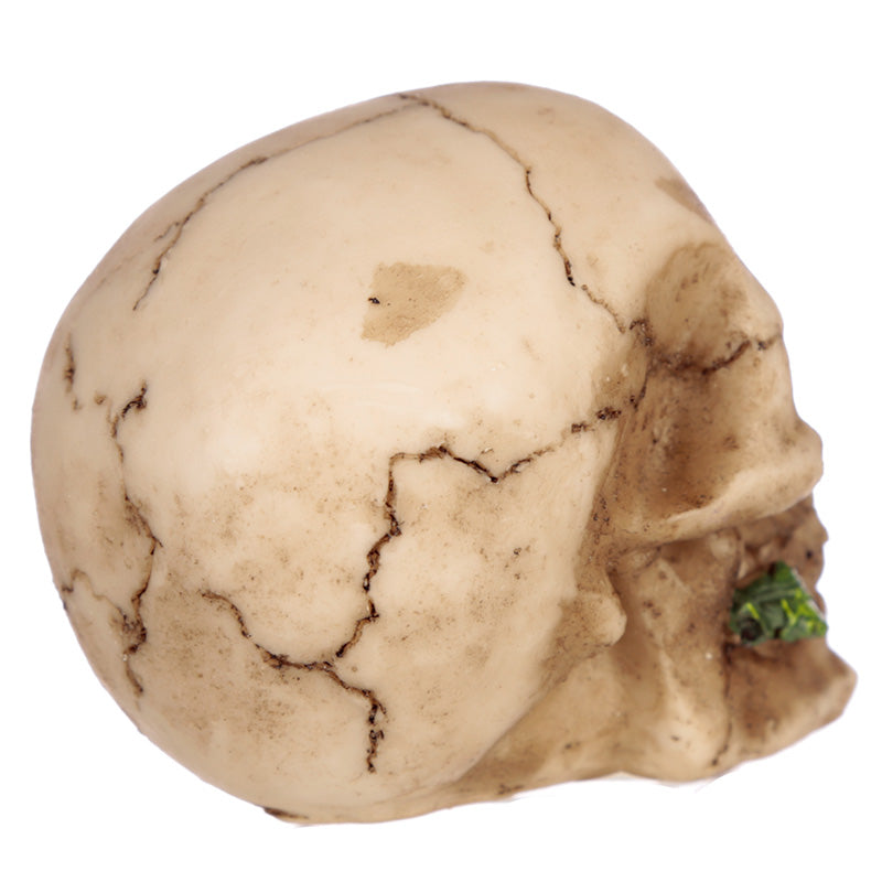 Small Skull with Rose in Teeth - Myhappymoments.co.uk