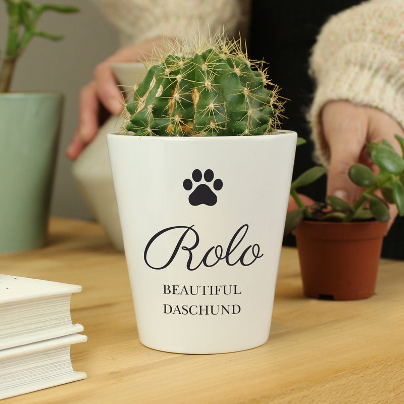 Personalised Pet Memorial Plant Pot