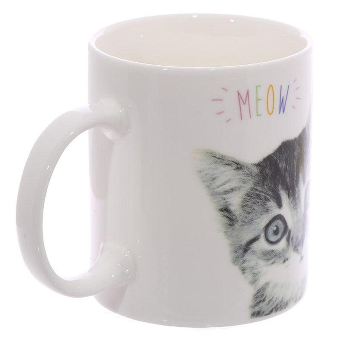 Novelty MEOW Kitten Porcelain Mug