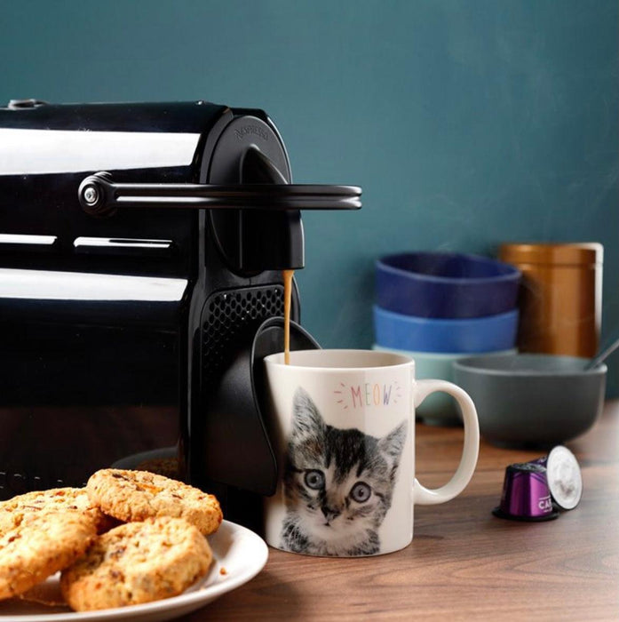 Novelty MEOW Kitten Porcelain Mug