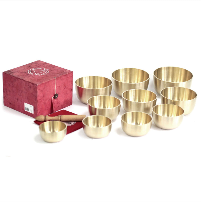 Set of 10 Chakra Singing Metal Bowls