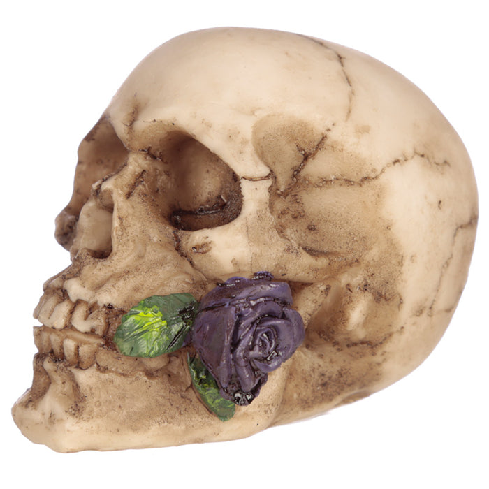 Small Skull with Rose in Teeth - Myhappymoments.co.uk