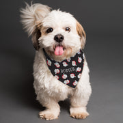 Personalised Santa Black Dog Christmas Bandana
