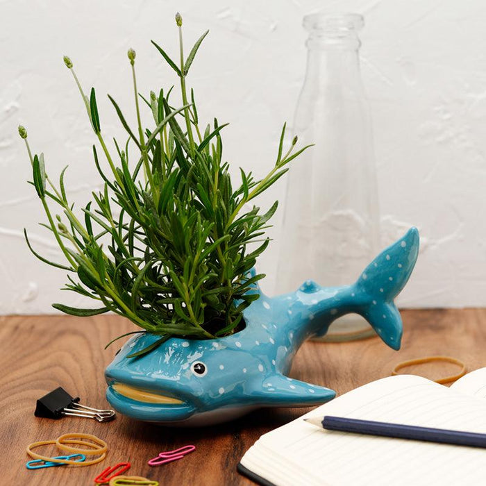 Whale Shark Planter - Ceramic Indoor Freestanding
