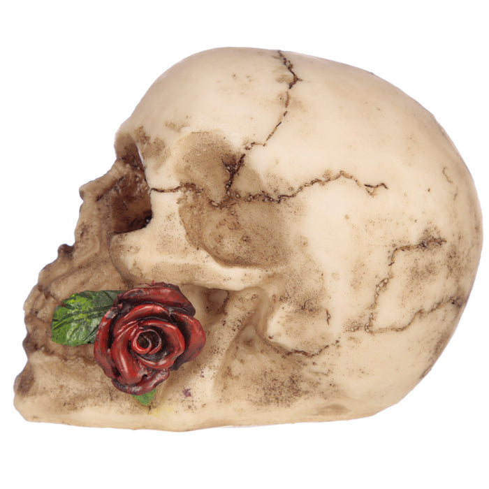 Small Skull with Rose in Teeth - Myhappymoments.co.uk