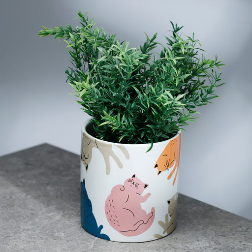 Cat's Life Ceramic Indoor Plant Pot - Large