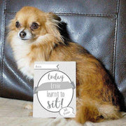 Personalised Puppy Cards: For Milestone Moments - Myhappymoments.co.uk