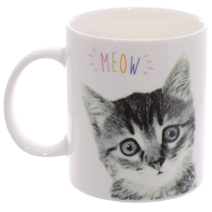 Novelty MEOW Kitten Porcelain Mug