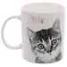 Novelty MEOW Kitten Porcelain Mug