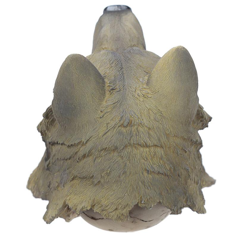 Skull with Wolf Head Decoration