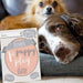 Personalised Puppy Cards: For Milestone Moments - Myhappymoments.co.uk
