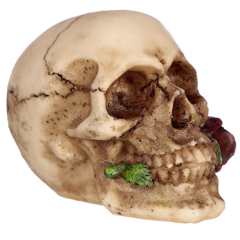 Small Skull with Rose in Teeth - Myhappymoments.co.uk