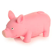Squeezy Stretchy Pig Toy