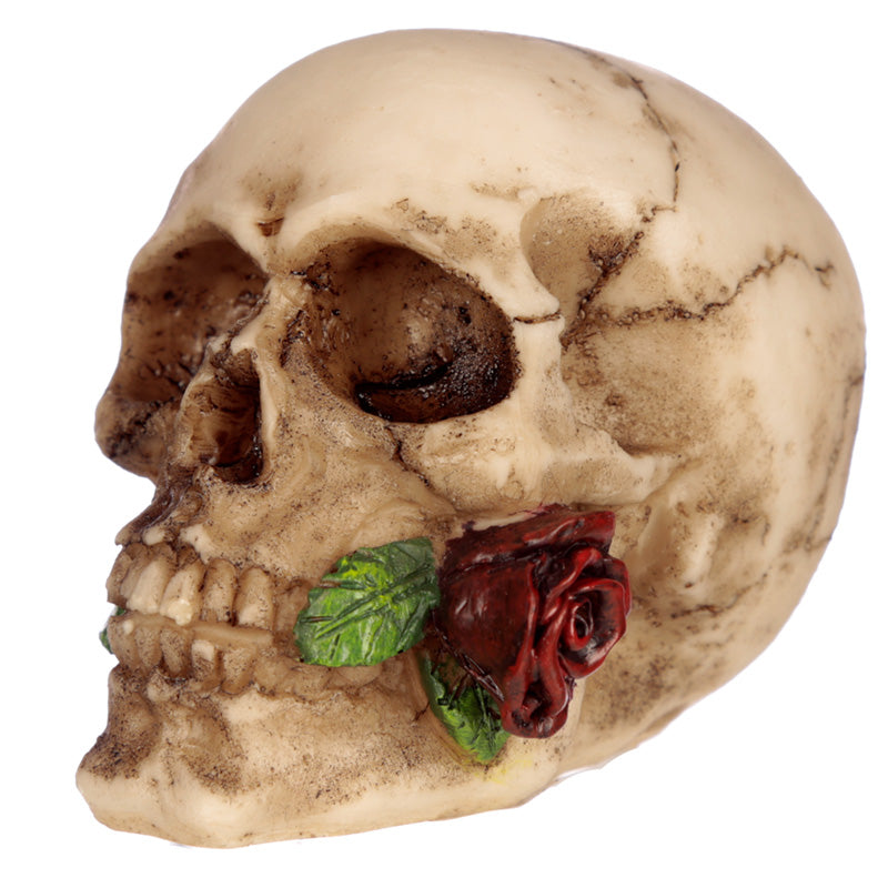 Small Skull with Rose in Teeth - Myhappymoments.co.uk