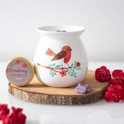 Winter Robin Wax Melt Burner Gift Set