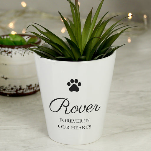 Personalised Pet Memorial Plant Pot