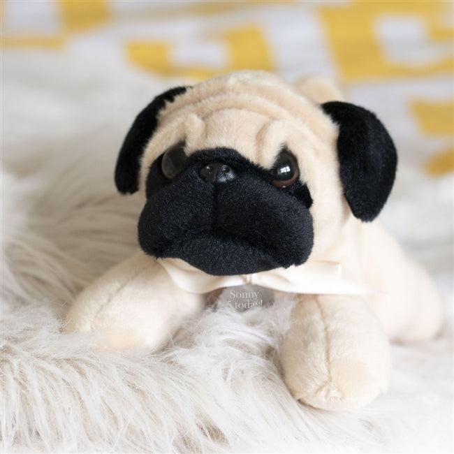 Personalised Perry The Pug Teddy Bear - Myhappymoments.co.uk