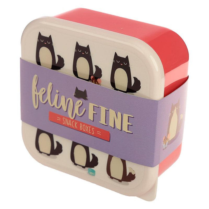 Set of 3 Lunch Boxes - Feline Fine Cat