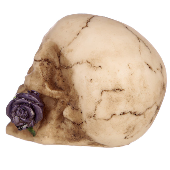 Small Skull with Rose in Teeth - Myhappymoments.co.uk