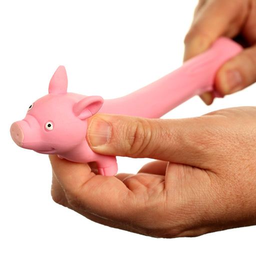 Squeezy Stretchy Pig Toy