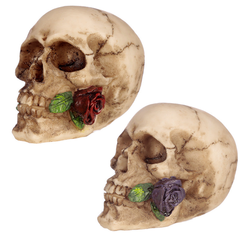 Small Skull with Rose in Teeth - Myhappymoments.co.uk
