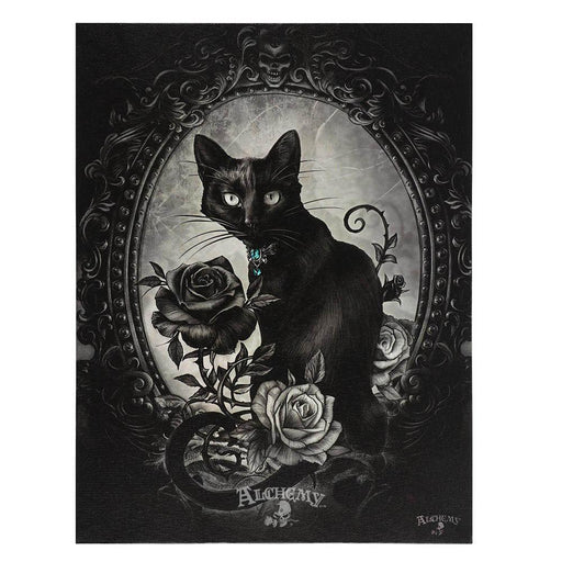 The Philosopher's Familiar Cat Canvas Plaque by Alchemy