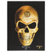 19x25cm Omega Skull Canvas Plaque by Alchemy