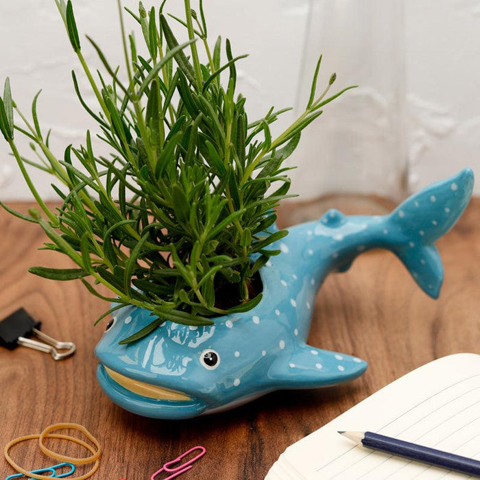 Whale Shark Planter - Ceramic Indoor Freestanding