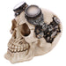 Steam Punk Style Skull Decoration Ornament with Goggles