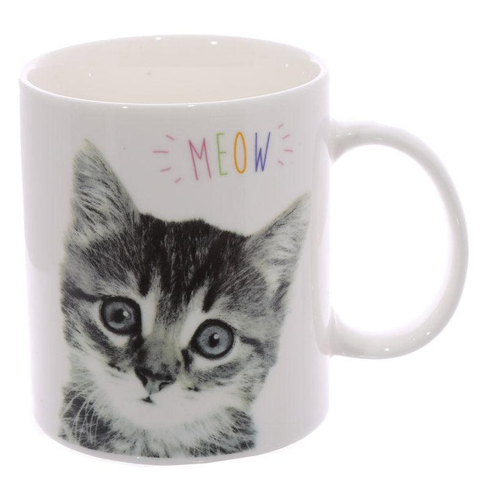Novelty MEOW Kitten Porcelain Mug