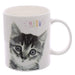 Novelty MEOW Kitten Porcelain Mug