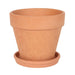 Engraved Botanical Terracotta Plant Pot