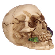 Small Skull with Rose in Teeth - Myhappymoments.co.uk