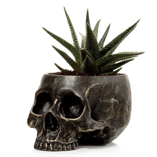 Skull Shaped Planter