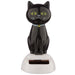 Lucky Black Cat Solar Dashboard Pal