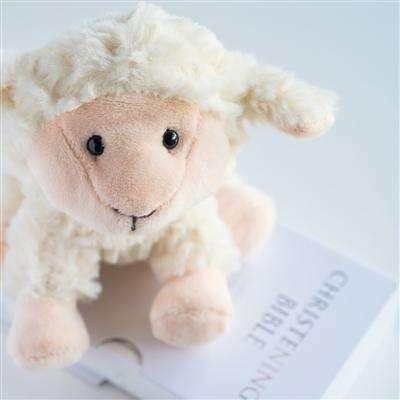 Personalised Lamb & Bible Christening Set - Myhappymoments.co.uk