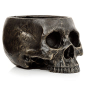 Skull Shaped Planter