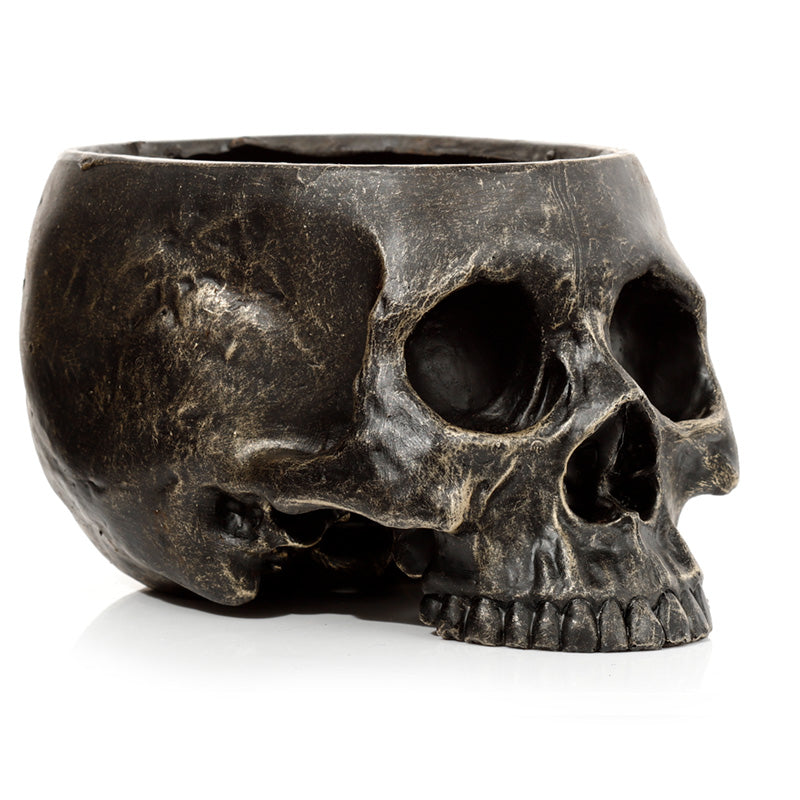 Skull Shaped Planter