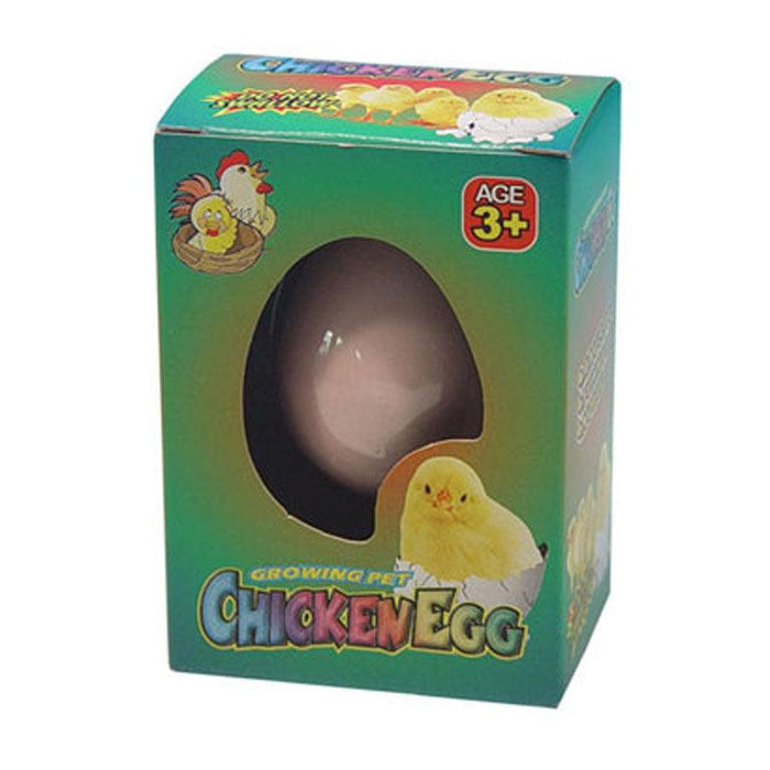 Hatching Chicken Egg Toy