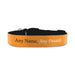Personalised Small Dog Collar with Orange Background Image 1