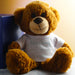Dark Brown Teddy Bear with A Big Heart Shapes Little Minds Design Image 4