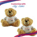 Personalised School's Out For Summer Teacher Teddy Bear