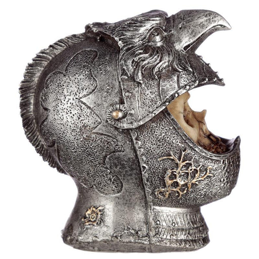 Skull Wearing Medieval Bird Head Helmet