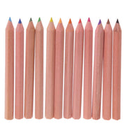 RAWR Dinosaur Pencil Pot with Colouring Pencils