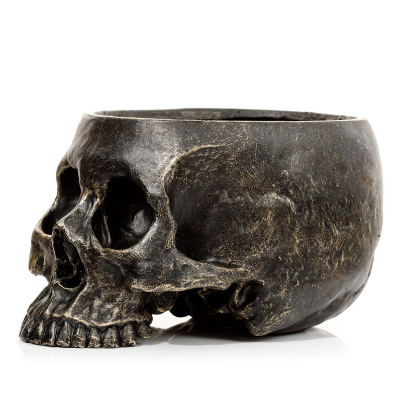 Skull Shaped Planter
