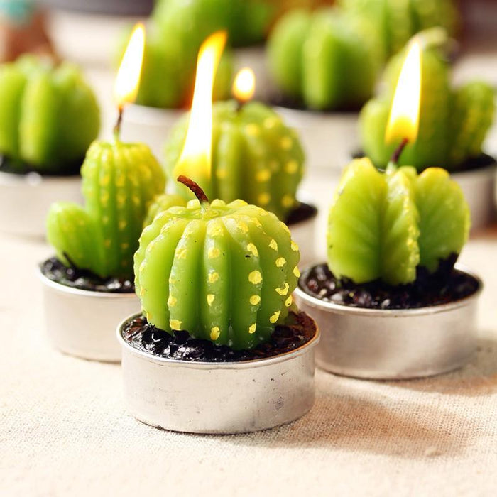 Set of 6 Succulent Cactus Tealights in Gift Box